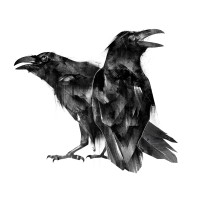 Twin Ravens logo