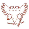 Alfe logo