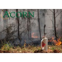 Acorn Forestry
