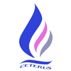 Ceterus Networks logo