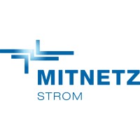 Mitteldeutsche Netzgesellschaft Strom mbH (MITNETZ STROM) logo