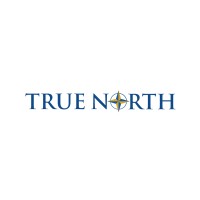 True North Consulting logo