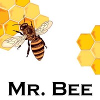 Mr. BEE logo