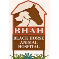 Black Horse Animal Hospital logo