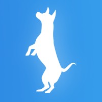 Dancing Chihuahua, LLC logo