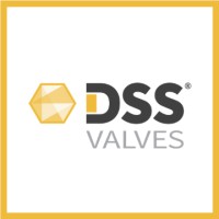 DSS Valves logo