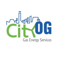 City-OG Gas Energy Services Pte Ltd logo