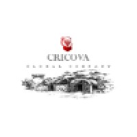 Cricova Global Wine & Champagne Enterprises! logo