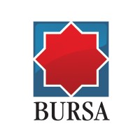 Ziarul BURSA logo