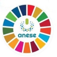 ANESE logo
