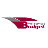 Budget Auto Insurance logo