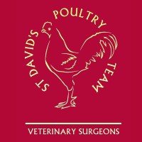 St David's Poultry Team