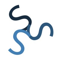 Solent Sky Services™ logo
