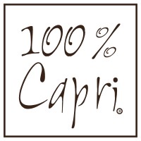 100% CAPRI ITALIA SRL logo