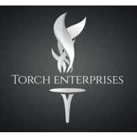 Torch Enterprises Inc logo