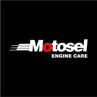 Motosel Industrial Group Inc. logo