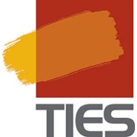 Teaching Institute For Excellence In STEM logo