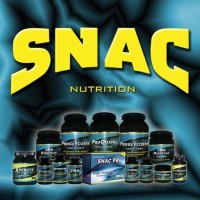 SNAC System logo