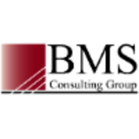 BMS Consulting Group logo
