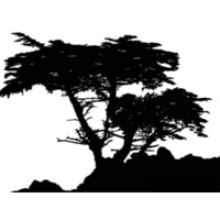 Cypress Capital Group logo