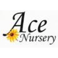 Ace Nursery logo