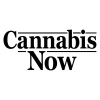 Cannabis Now logo