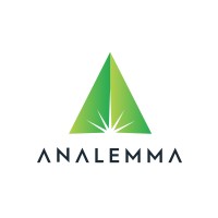Analemma Group logo