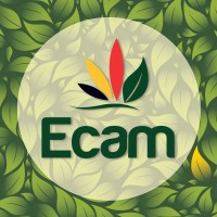 Image of ECAM