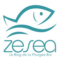 Entreprise Personnelle (Freelance) logo