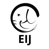 Elephants In Japan: In Memory Of Hanako logo
