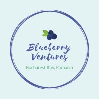 Blueberry Ventures logo