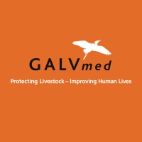 GALVmed logo