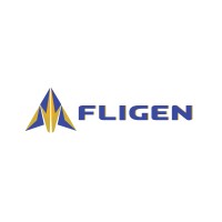 Fligen Systems PVT LTD logo