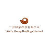 3 Wells Watch Industries Ltd. logo