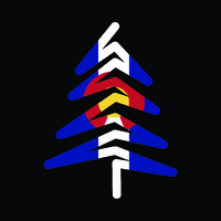 Blue Spruce Maids logo