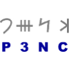 P3 Communications logo