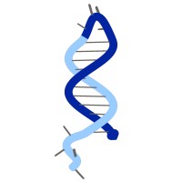 Molecular Instruments logo