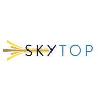 Skytop Strategies logo
