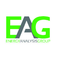 Energy Analysis Group logo