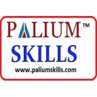 Palium Skills logo