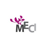 MECI International Inc. logo