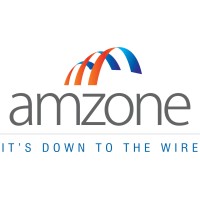 Amzone International Limited logo