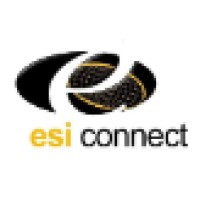 Esi Connect Telecoms & Energy Solutions (Pty) Ltd logo