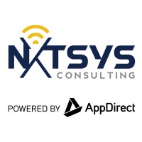 NXTSYS Consulting logo