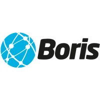 BORIS Software Ltd logo