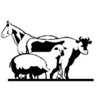 Colorado Animal Health logo