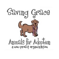 Image of SAVING GRACE ANIMALS FOR ADOPTION INC