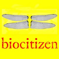 Biocitizen logo