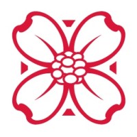 Naskila Gaming logo