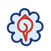 The Association of Chartered Accountants of Nepal - ACAN logo